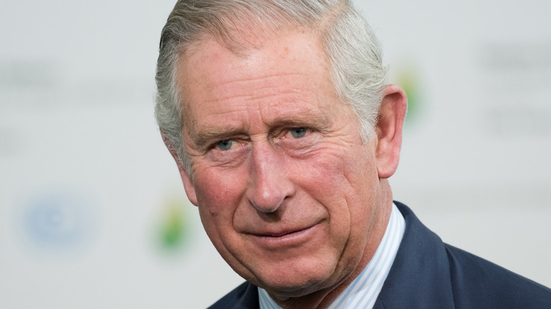 Prince Charles in 2015 