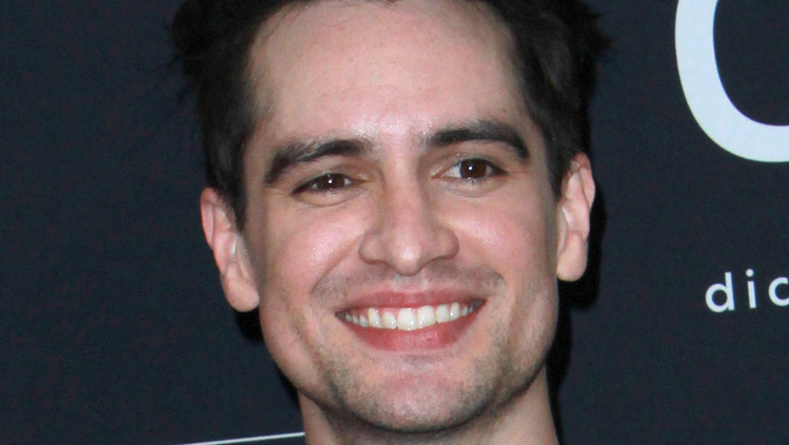 The Truth About Brendon Urie's Sexuality