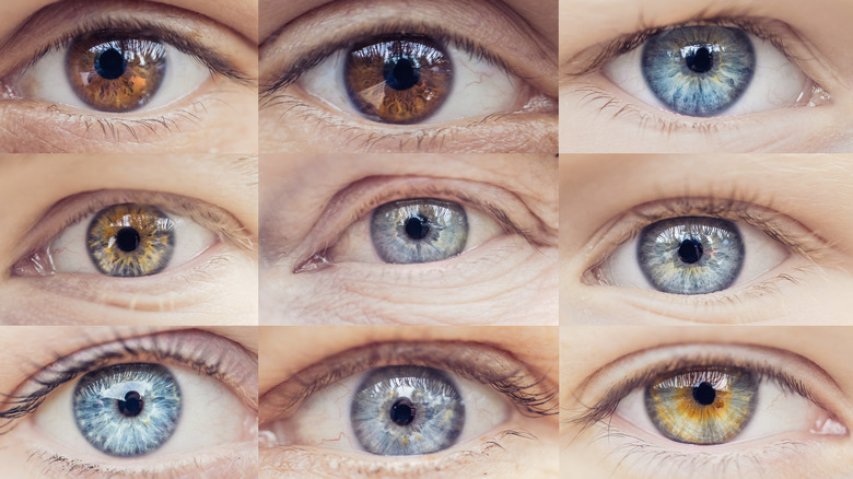 A variety of eye colors