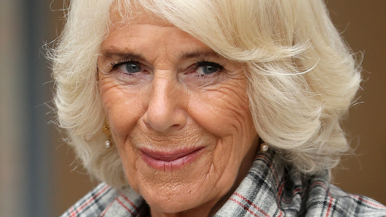 Camilla Parker Bowles smirking