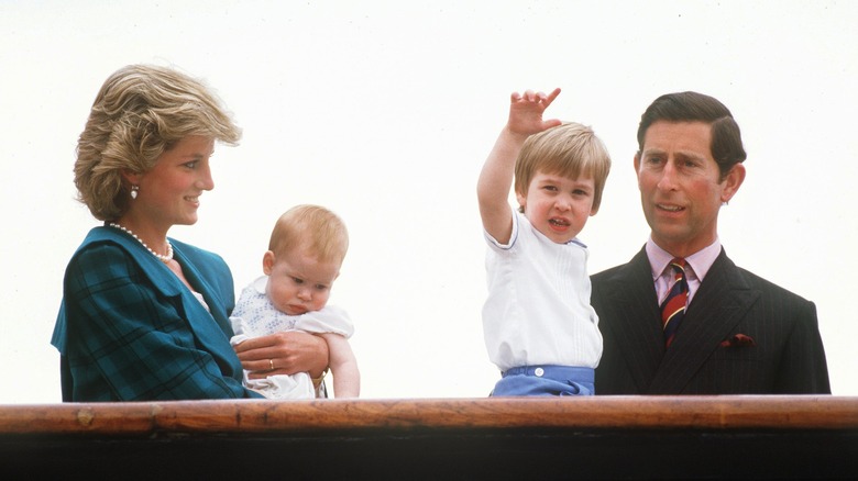 Princess Diana, Prince Charles, and their sons