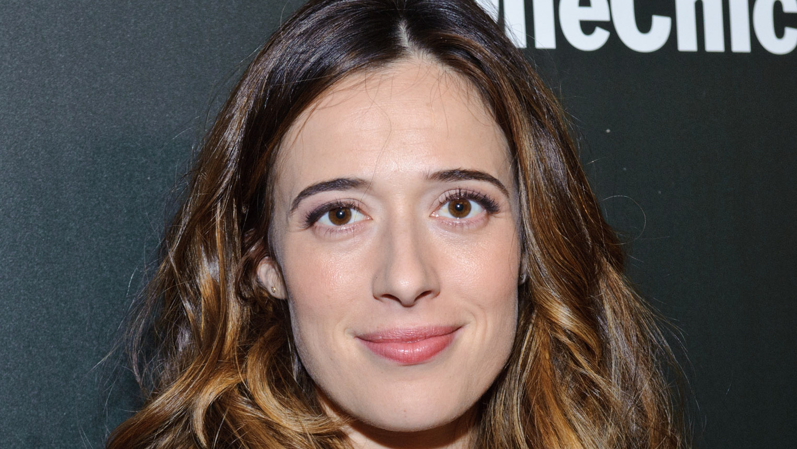What happened to burgess daughter on chicago pd ltdsor