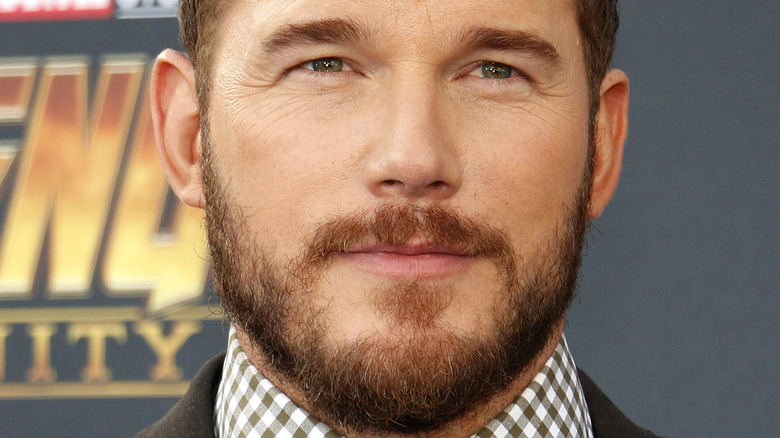 The Truth About Chris Pratt's Relationship With Arnold Schwarzenegger