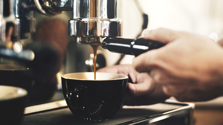 barista with a cup of coffee