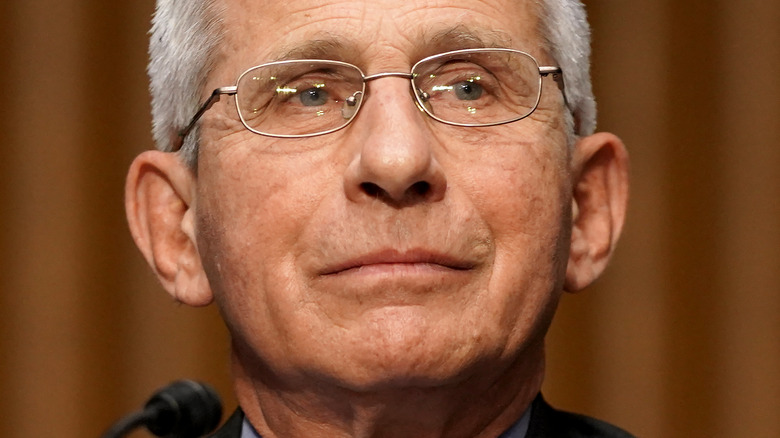 Anthony Fauci testifying before Congress