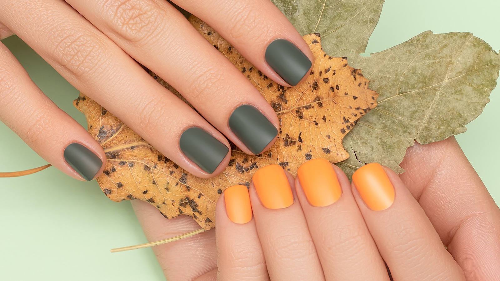 The Truth About Halal Nail Polish The Truth About Halal Nail Polish