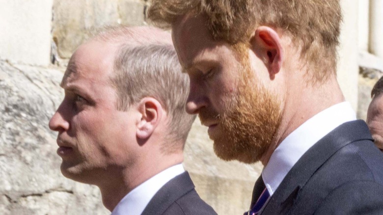 Prince William and Prince Harry