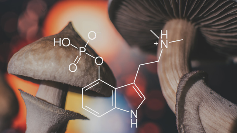 chemical formula for hallucinogenic mushrooms