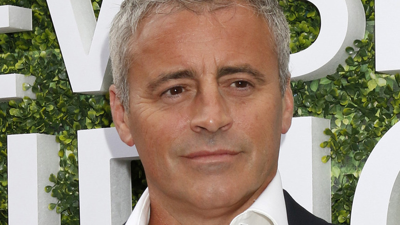 Matt LeBlanc posing