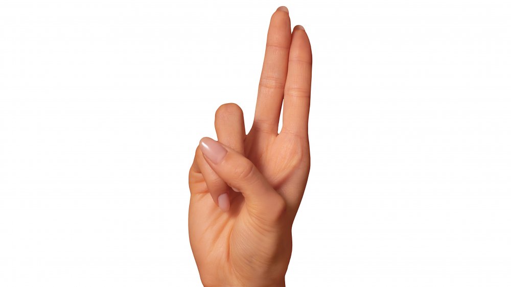 ASL sign language letter u