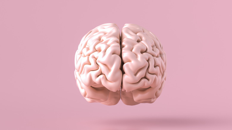 Brain floating on a pink background