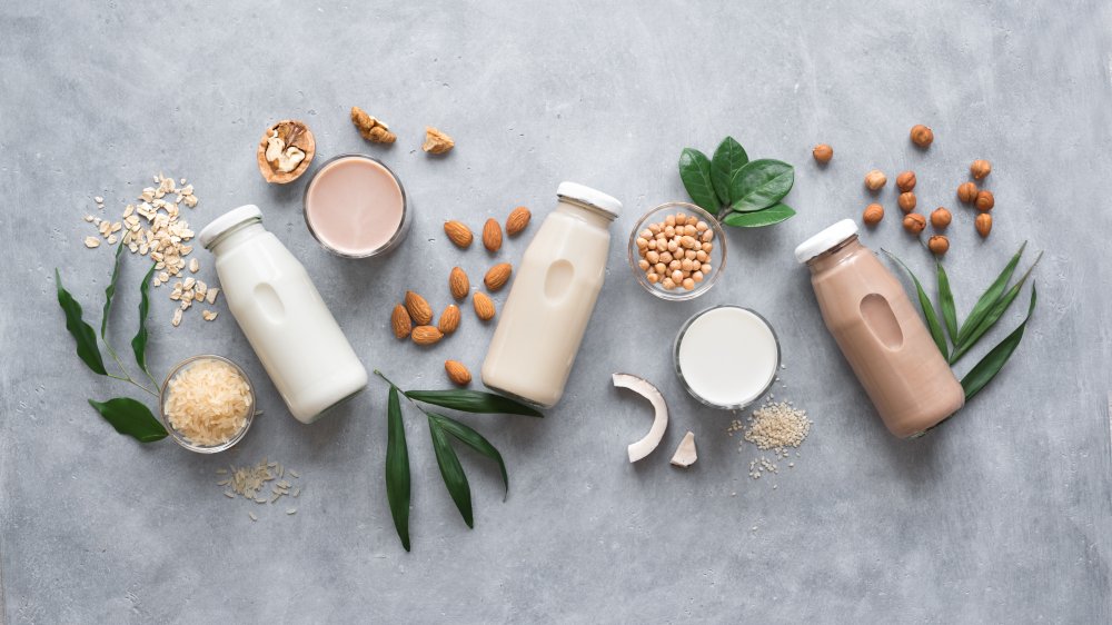 Different types of plant-based milks