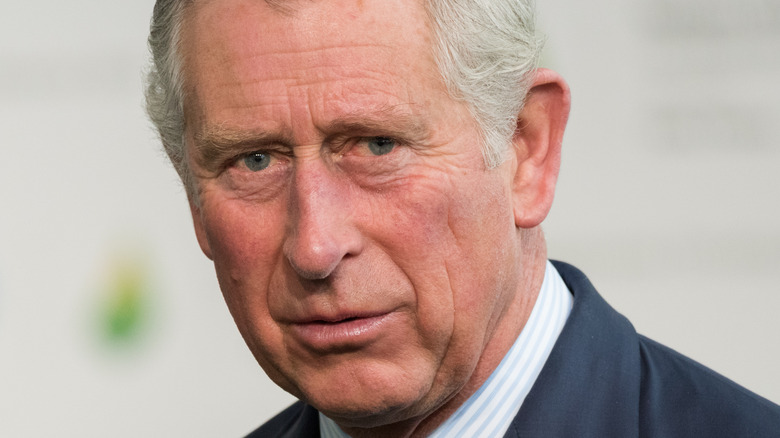 Prince Charles attends an event