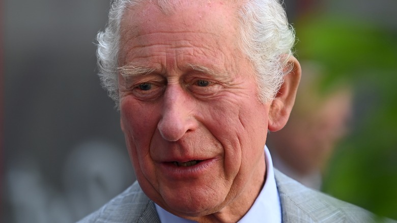 Prince Charles posing 2022 