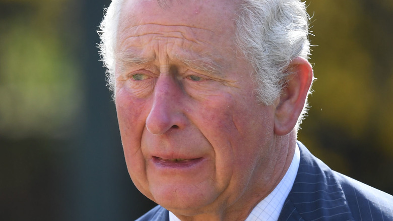 Prince Charles looking sideways