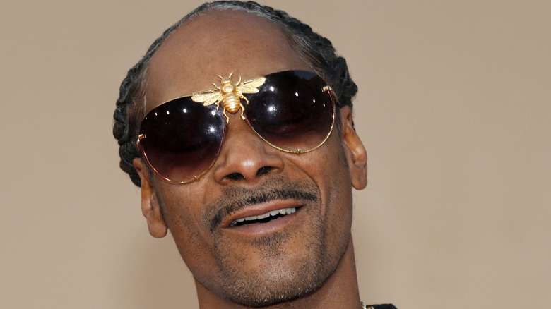 Snoop Dogg in sunglasses with bee