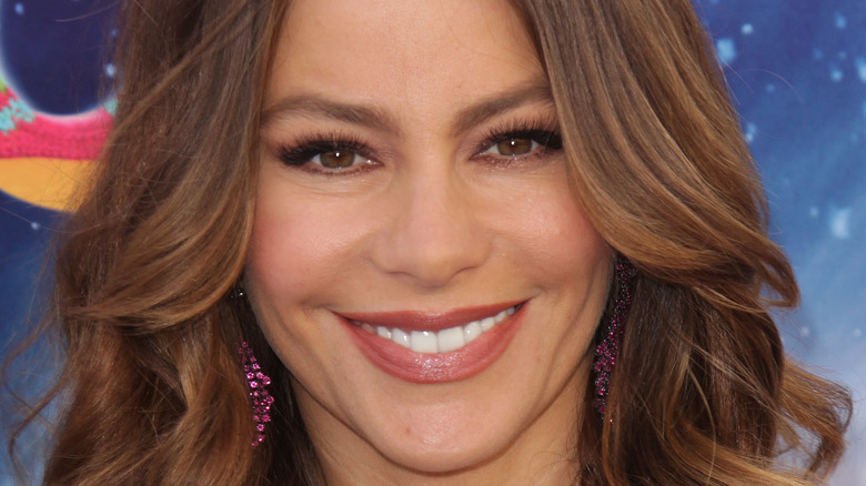 Sofia Vergara smiling at an event