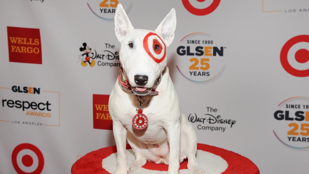 The Truth About Target s Mascot Bullseye