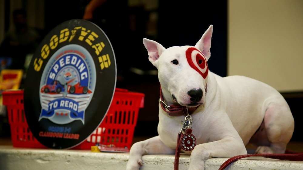 Bullseye The Dog 