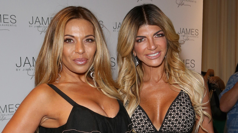 Dolores Catania and Teresa Giudice smile in low-cut dresses.