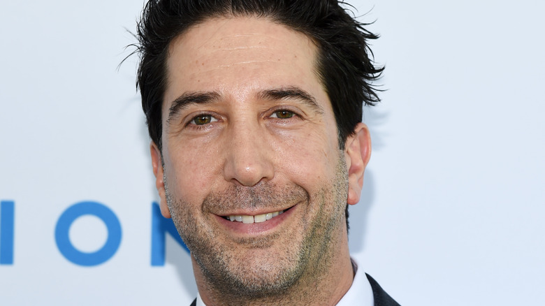 David Schwimmer poses on the red carpet.