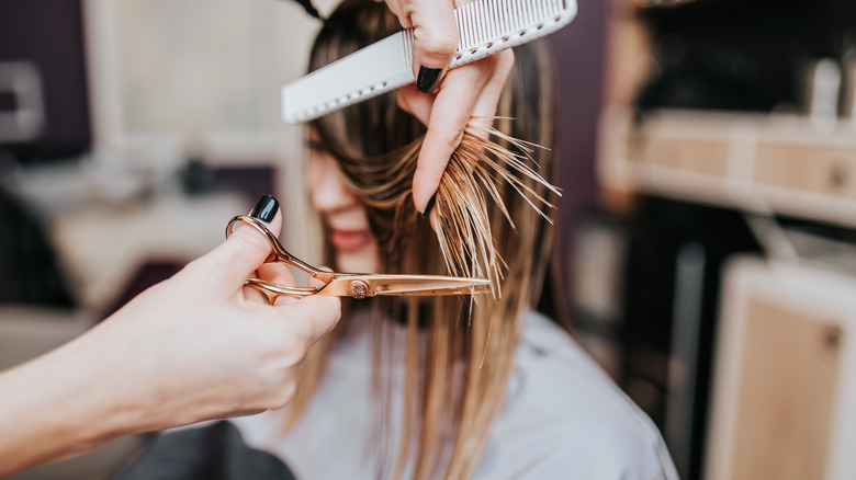 woman having hair cut