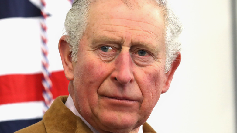Prince Charles looks pensive