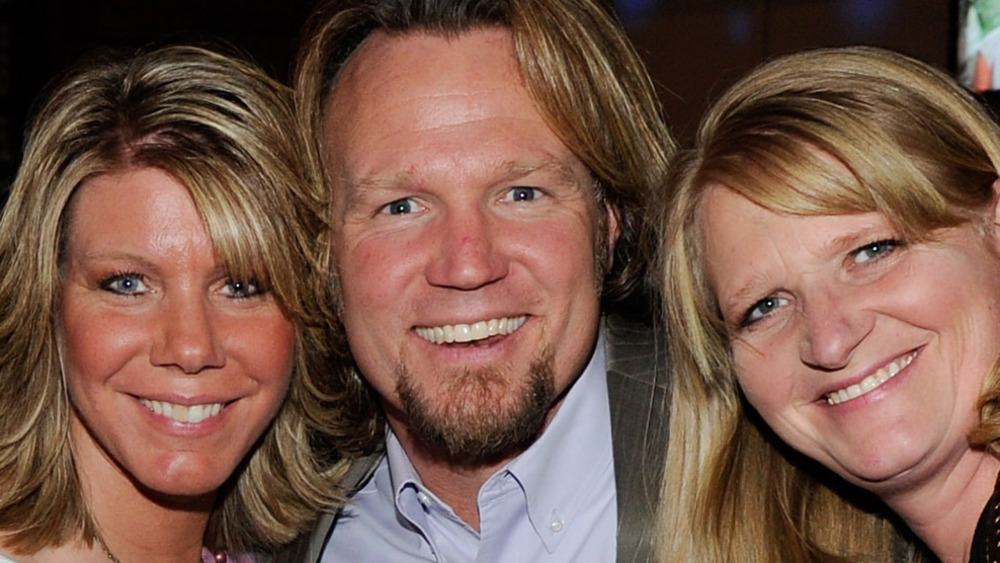 Sister Wives stars smiling