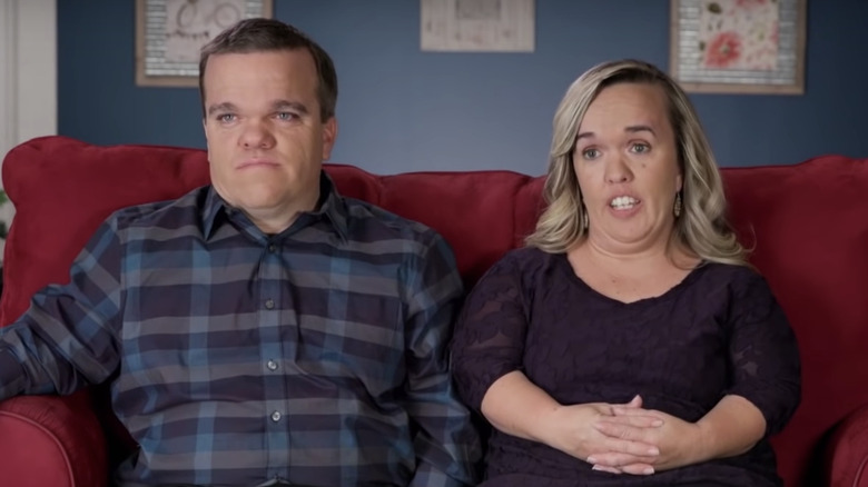 7 Little Johnstons