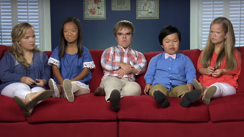 7 Little Johnstons