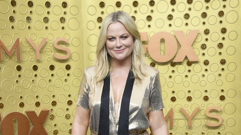 Amy Poehler