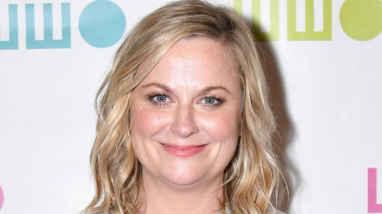 Amy Poehler