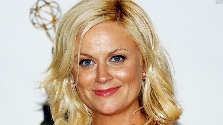Amy Poehler in 2008