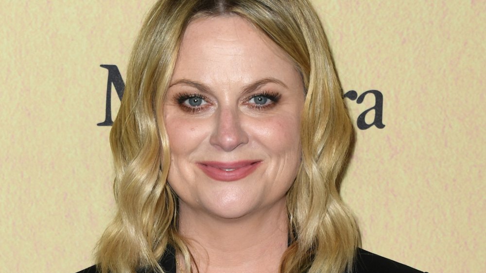 Amy Poehler