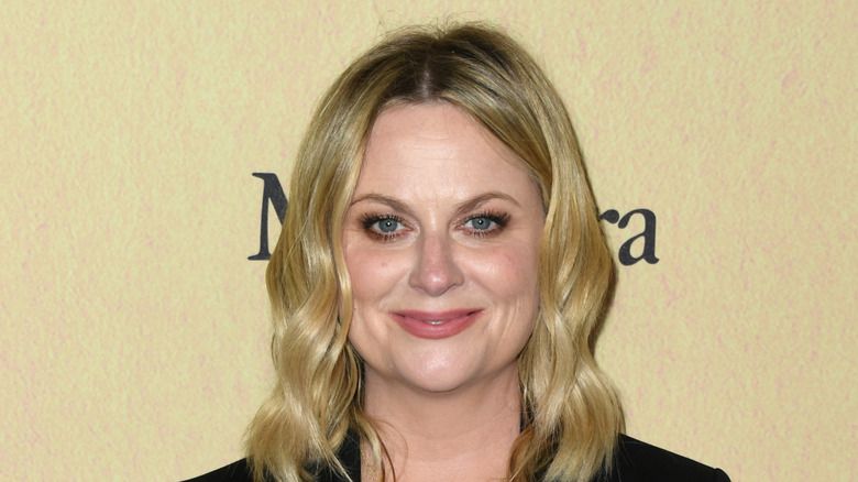 Amy Poehler
