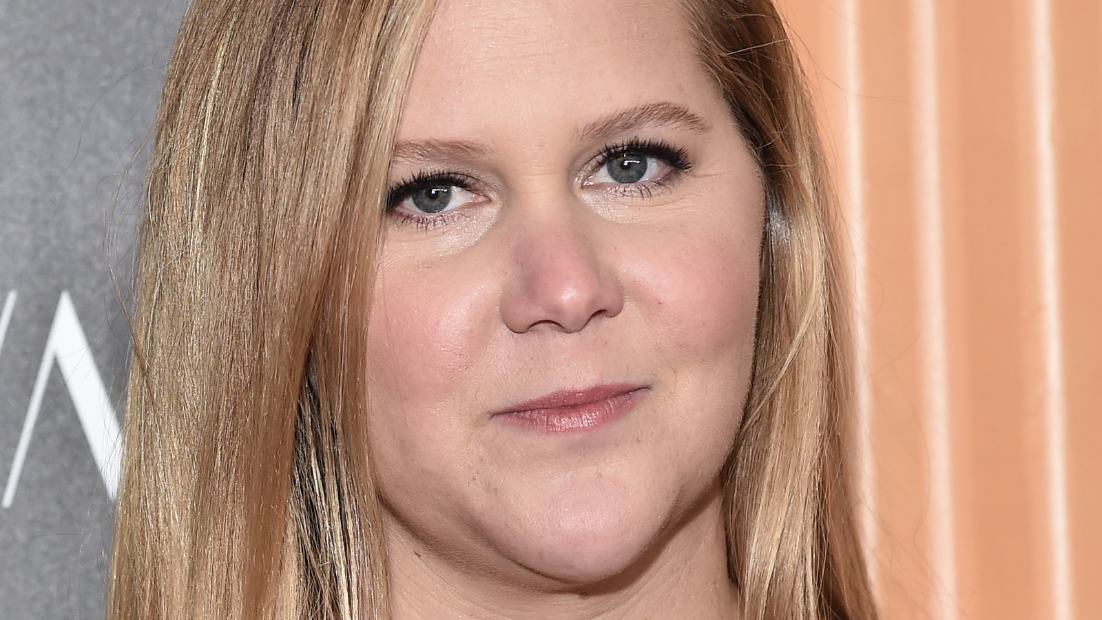 What You Dont Know About Amy Schumer 