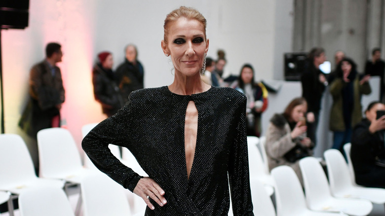 Celine Dion posing with her hand on her hip