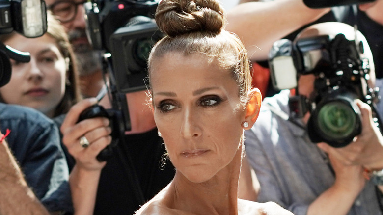 Celine Dion getting photographed by a swarm of photographers