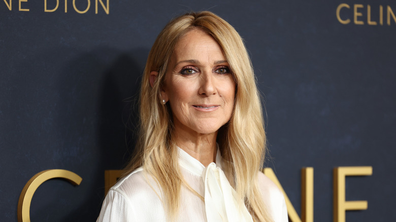 Celine Dion posing in front of a gray background