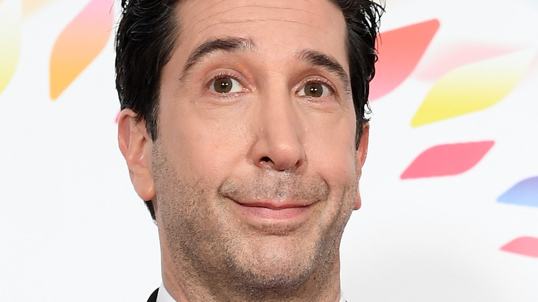 David Schwimmer close-up