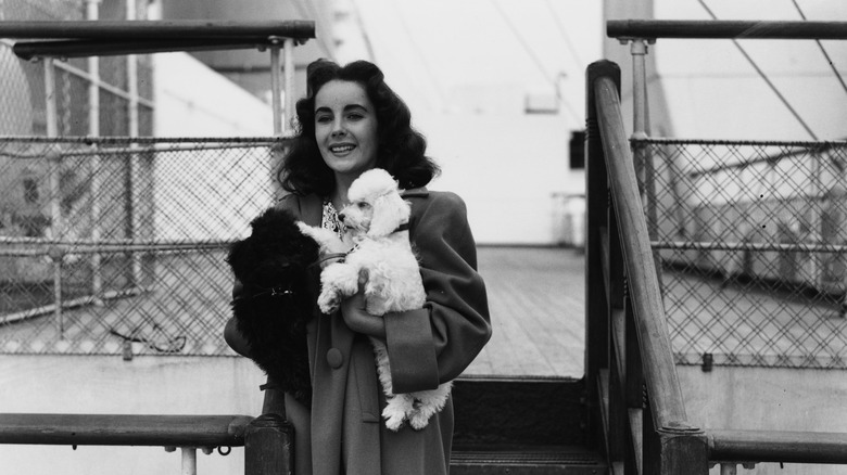 Elizabeth Taylor