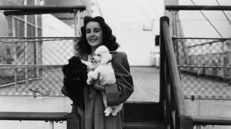 Elizabeth Taylor