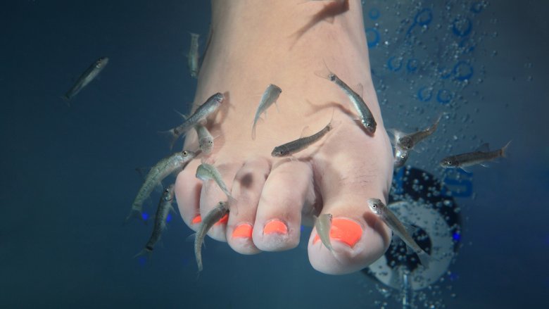 fish spa pedicure