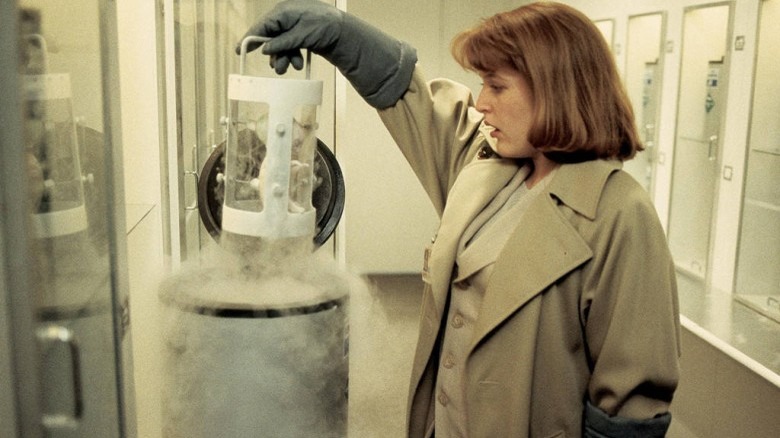 Gillian Anderson in The X-Files