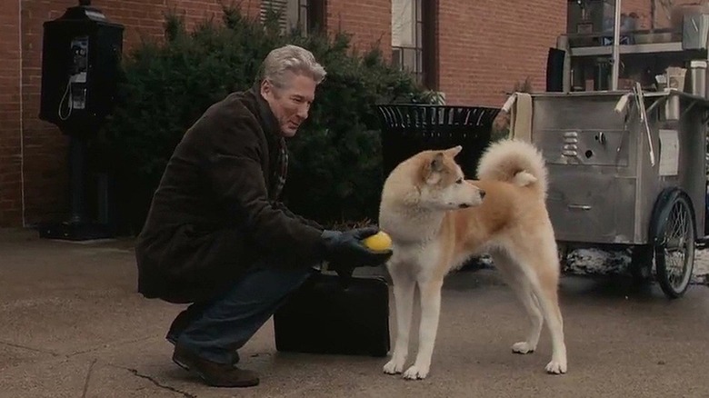 movie dogs Hachi: A Dog's Tale Forrest