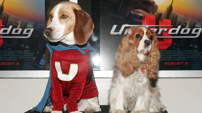 movie dogs Underdog