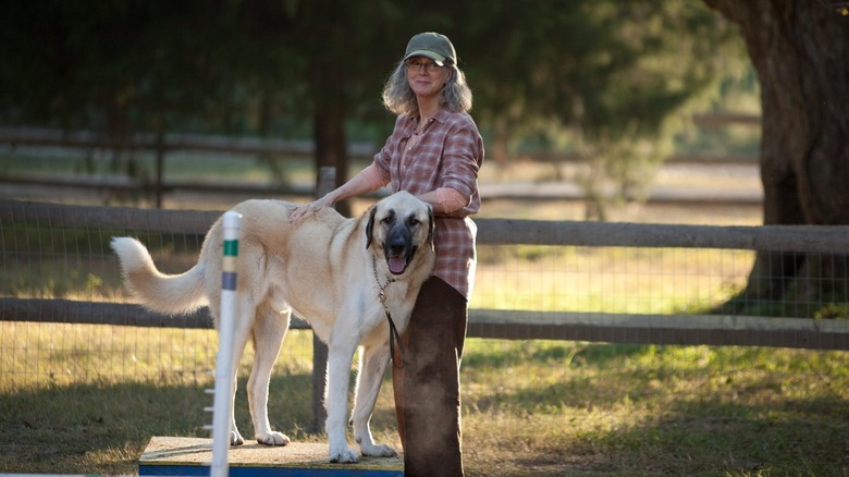 movie dogs The Lucky One Rowdy and Dexter