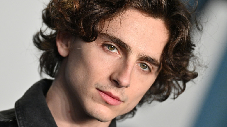 Timothée Chalamet tilted photo in black leather jacket