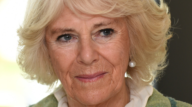 Camilla Parker Bowles looks pensive