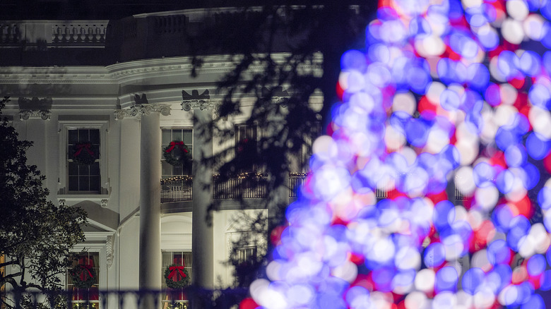 white house christmas tree lit up outside